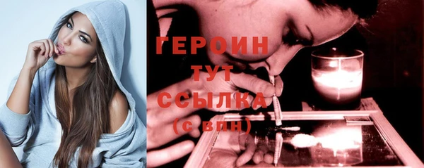 гидра Горнозаводск