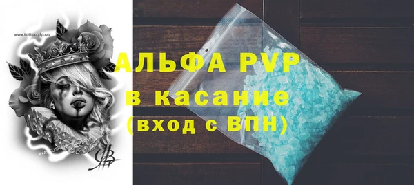 PSILOCYBIN Горняк