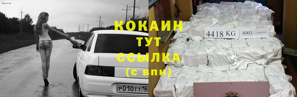 гидра Горнозаводск