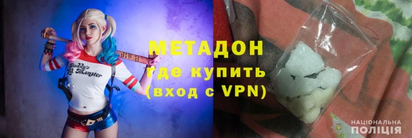 PSILOCYBIN Горняк