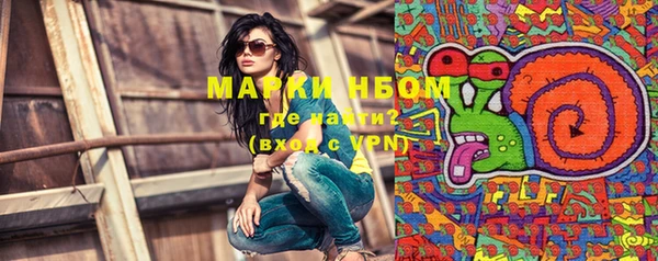 PSILOCYBIN Горняк