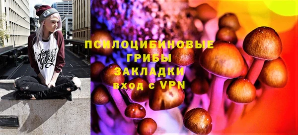 гидра Горнозаводск