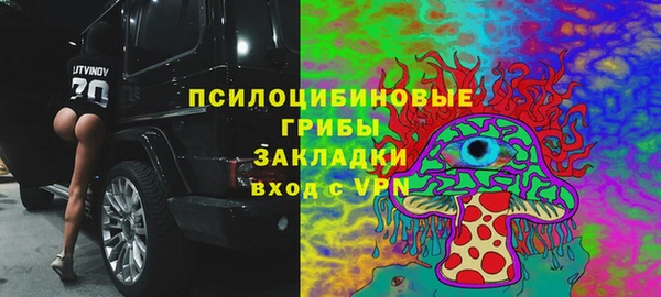 гидра Горнозаводск