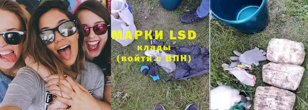 PSILOCYBIN Горняк