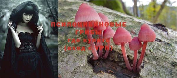 PSILOCYBIN Горняк