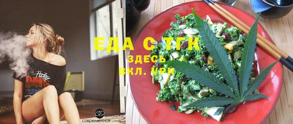 гидра Горнозаводск