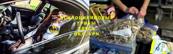 бошки Горно-Алтайск