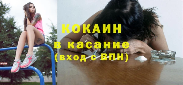 PSILOCYBIN Горняк