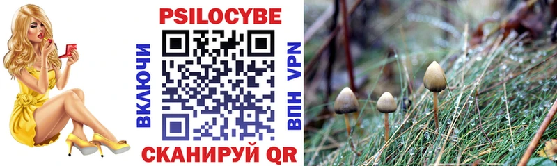 Псилоцибиновые грибы ЛСД  Купить  Фурманов 