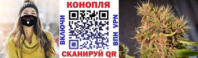 Купить  Фурманов  Конопля конопля 